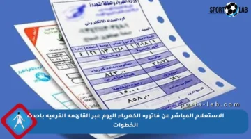 الاستعلام المباشر عن فاتورة الكهرباء اليوم عبر القائمة الفرعية بأحدث الخطوات